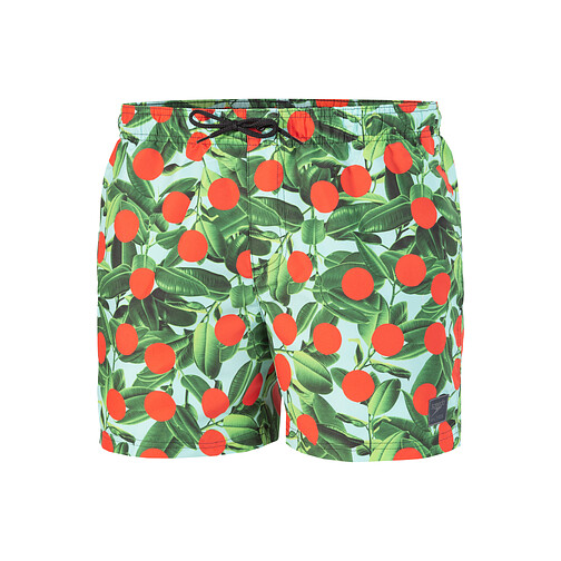 Speedo Шорты для плавания Digi Print Leis 14" Watershort green/orange