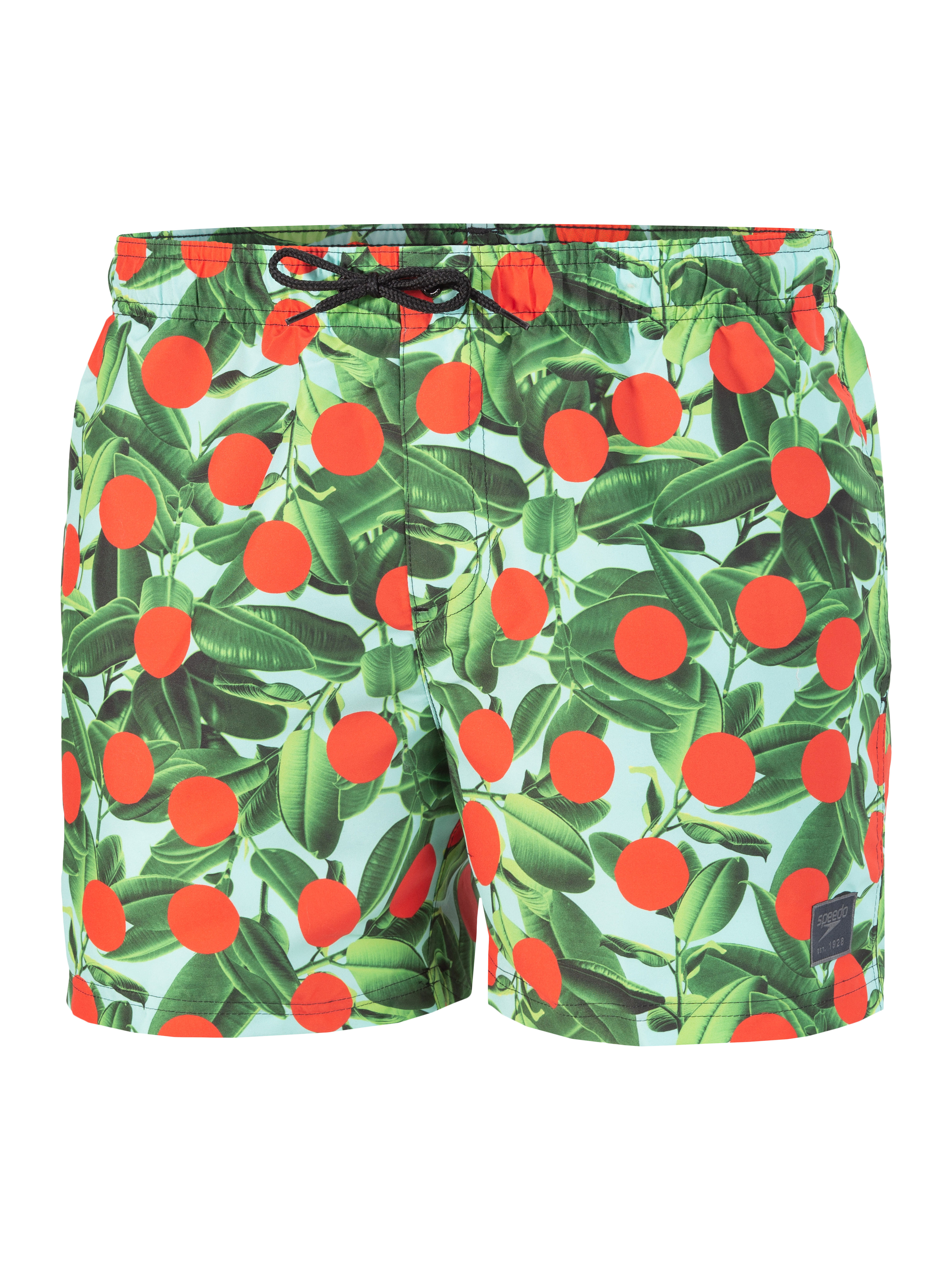 Speedo Шорты для плавания Digi Print Leis 14" Watershort green/orange