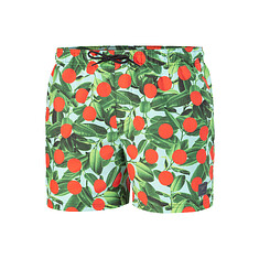 Speedo Шорты для плавания Digi Print Leis 14" Watershort green/orange