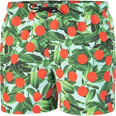 Speedo Шорты для плавания Digi Print Leis 14" Watershort green/orange
