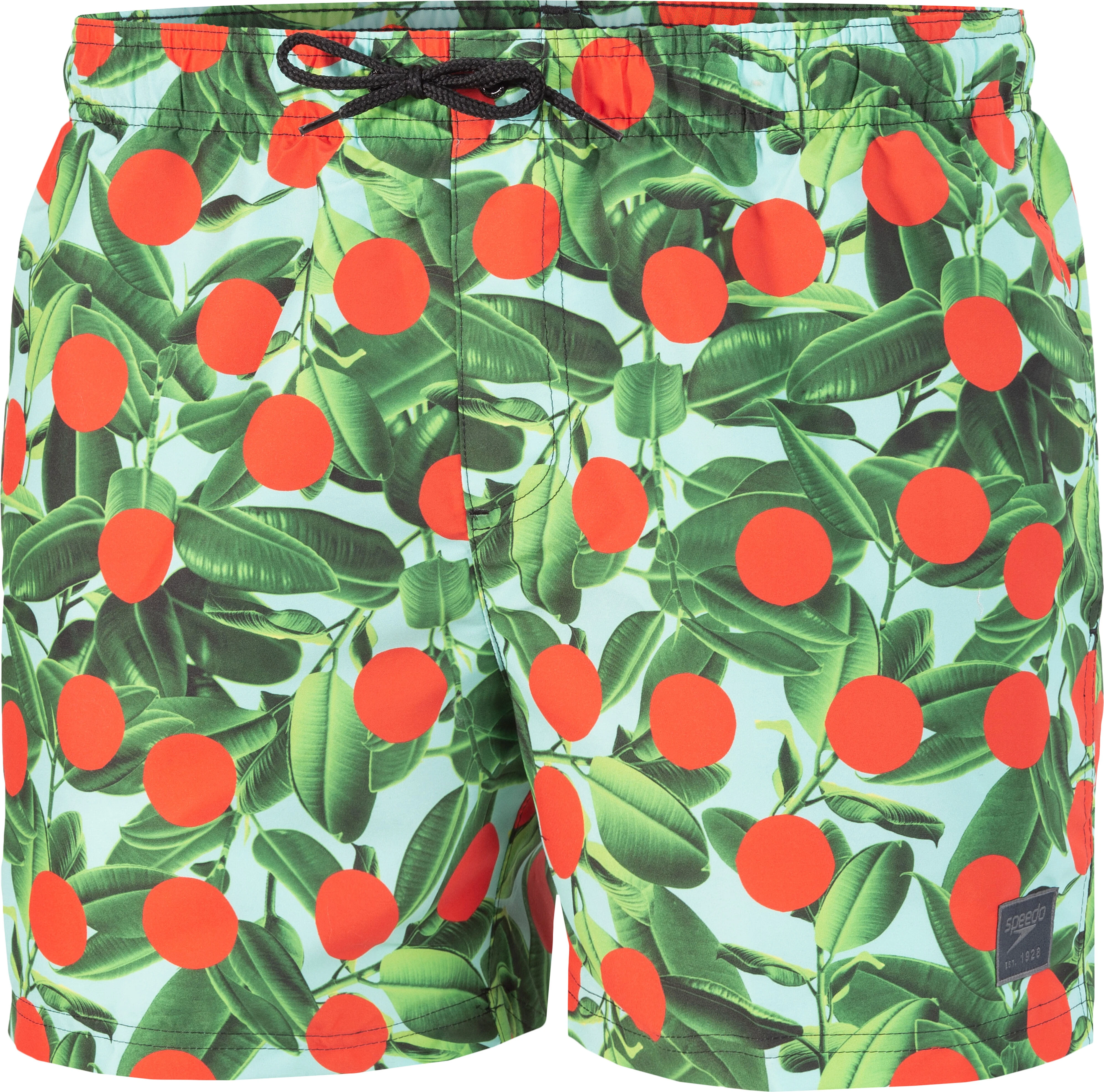 Speedo Шорты для плавания Digi Print Leis 14" Watershort green/orange