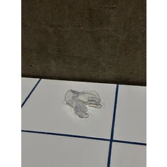 Swell Сменный загубник Snorkel Mouthpiece clear