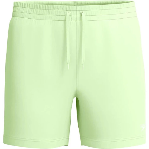 Speedo Шорты для плавания Essentials 16'' Swim Shorts Light Green